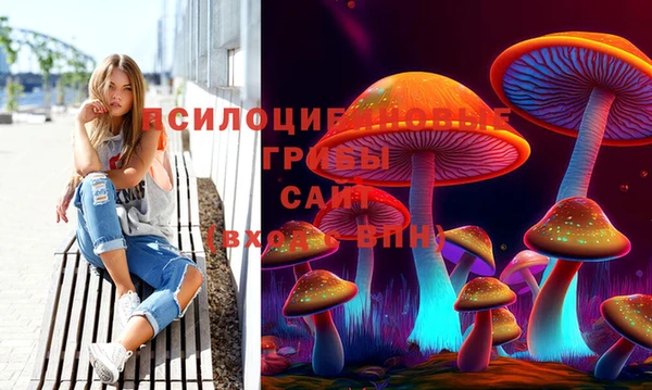 эйфоретик Алексеевка