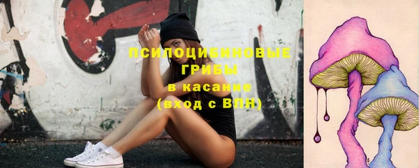 бошки Алексин